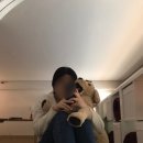 세계로마트(시청점) 이미지