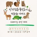 한들물빛도시 하늘채아파트 앞 이미지