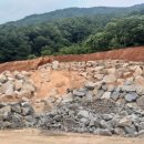 한스바움 이미지