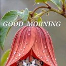 해피데이 이미지