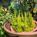 둘이농장 이미지