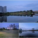 바람의언덕길 이미지