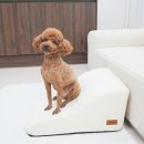 펫구름 이미지