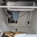 보보스타워 | 물먹은 싱크대 밑판 교체 후기