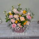 화원간호학원 이미지