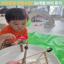 호호 | 히히호호 방문수업 후기 대전 36개월 아이 반응과 가격까지
