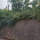 계림산업(주) 이미지