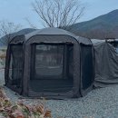 꽃냥이네 | 차박도킹 텐트 고민 끝! 설치 쉬운 벤딕트 원터치텐트 추천 후기