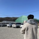 피피팜 | 일산 애견카페 피피팜 내돈내산 후기 / 댕댕이 때문에 갔다가 발견한 떡볶이 맛집 ㅋㅋㅋㅋ