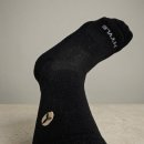 달리삭스 이미지