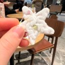 스타벅스 25 파우치 키링 후기, 한입에쏙 과일칩 후기