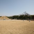 서상동158 이미지