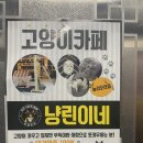 냥린이네 이미지