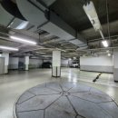 휴먼 & 카 이미지