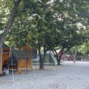 하늘땅별땅 캠핑장 이미지