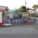 을숙도 생태공원 이미지