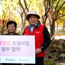 정원쇼핑 Daum카페