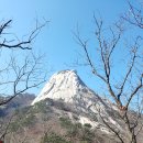 명상기공 네이버블로그