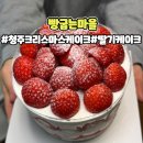 옥산약국 | 청주 오송 크리스마스 케이크 사전예약 가능한 생딸기 폭탄케이크