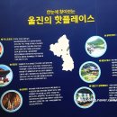 고초령 산양삼 이미지