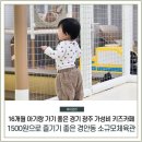 경안동270-2(보련암입구~광주시립도서관) | 16개월 아기랑 갈만한곳 경기광주 경안동 1500원 키즈카페 경안동 소규모 체육관 주말 방문 후기!