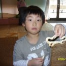 구운 자동차 나라 이미지