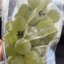 청포농원 이미지