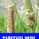 다온섬유 - 양주시 삼일로 679-22 | 다온섬유