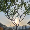 순라황토펜션