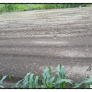 용기네 농장 이미지