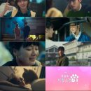 '오늘도 사랑스럽개' D-1, 반대라 더 끌리는 차ㅇㅇX박규영의 '멍냥꽁냥' 로맨스 서막 이미지