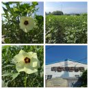 내포문화숲길 [내포동학길] 라이딩 후기 이미지