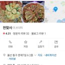 전찾사