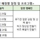 놀다가시개 이미지