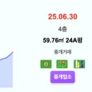 지에스(GS)25 분당삼성한신 | 2025년 7월 2일 실거래가 리뷰(187)