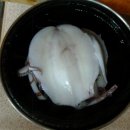 싱싱냉동 이미지