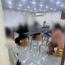 생활미용(기술과정 / 주간) | 반려견 스타일리스트 국비과정 일기 - 1일차, 가위를 만지다