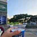 로니의 기차 | 평창여행 숙소추천 알펜시아리조트 즐길거리가 다양해! (+조식 및 광장포차/ 기차, 이색자전거 이용 후기)