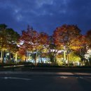 연지아트홀 이미지