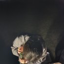 평화오토 이미지