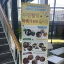 [강동구 아기랑] 강동아트센터 아트랑 우당탕탕 아빠가 만든 놀이터 시즌2 상세후기