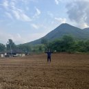 흥이많은농부 이미지