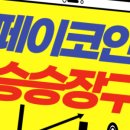 미르페이 이미지
