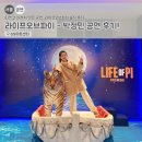 퍼피 라이프 | 라이프오브파이 출연진 중 박정민, 꼭 봐야하는 공연 후기