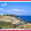 제주도 동부지역 관광 (사려니 숲길. 아리랑혼관람. 성읍민속마을. 섭지코지. 노형슈퍼마켓의 빛아트...