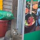 미정농장 이미지