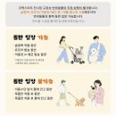 2026 케이펫페어 마곡 후기 | 코엑스마곡 반려동물 박람회 주차·입장·체험 꿀팁 총정리