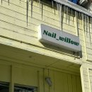 윌로우네일