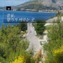 들꽃향기머무는곳 | 9화>블룸, 향기가 머무는 곳