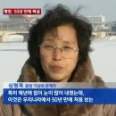 거북이자동차나라 이미지